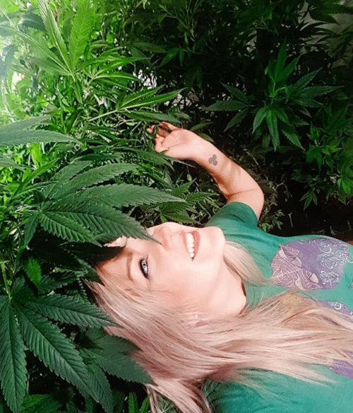 ScreenShot2018 08 30at3.21.40PM cannabis image