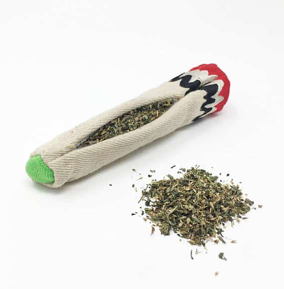 cattoy cannabis image