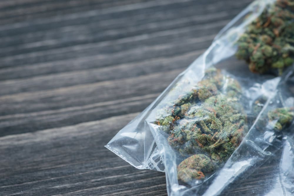 driedcannabisflower cannabis image