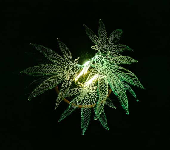 lamp cannabis image