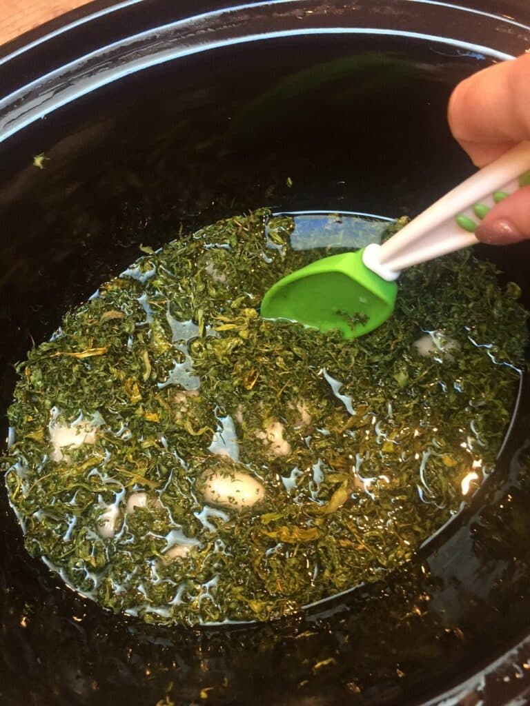 Easy DIY Cannabis Infused Coconut Oil Recipe 6 IMG 2140 cannabis image