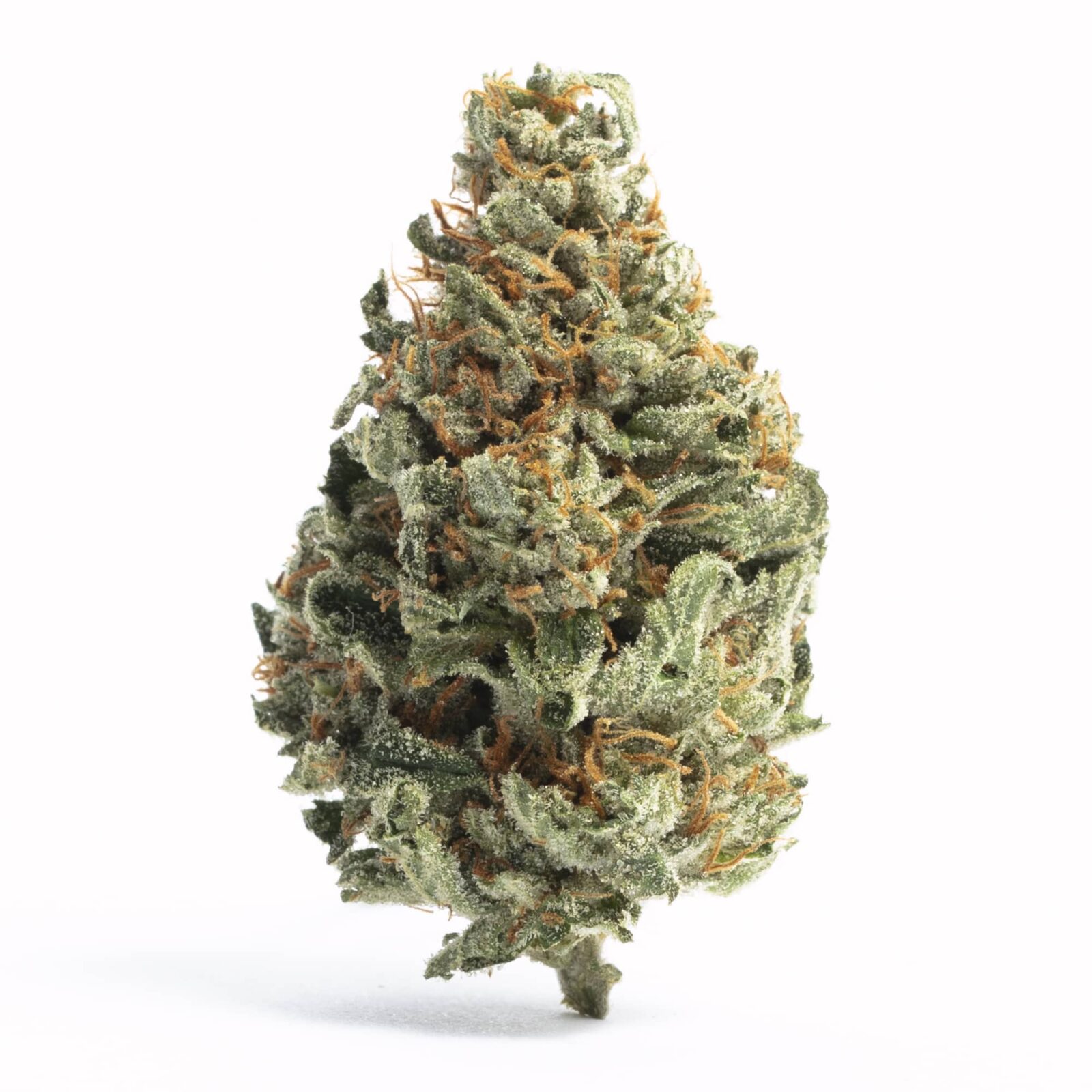 Top 22 Medical Cannabis Strains for Therapeutic Benefits 7 Image