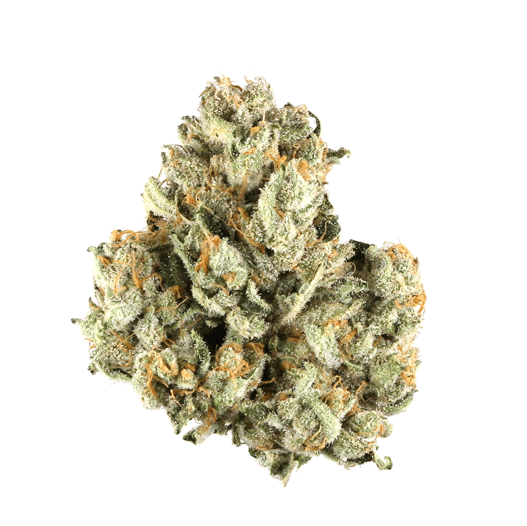 Top 22 Medical Cannabis Strains for Therapeutic Benefits 10 stock photo similar to Afghan Kush