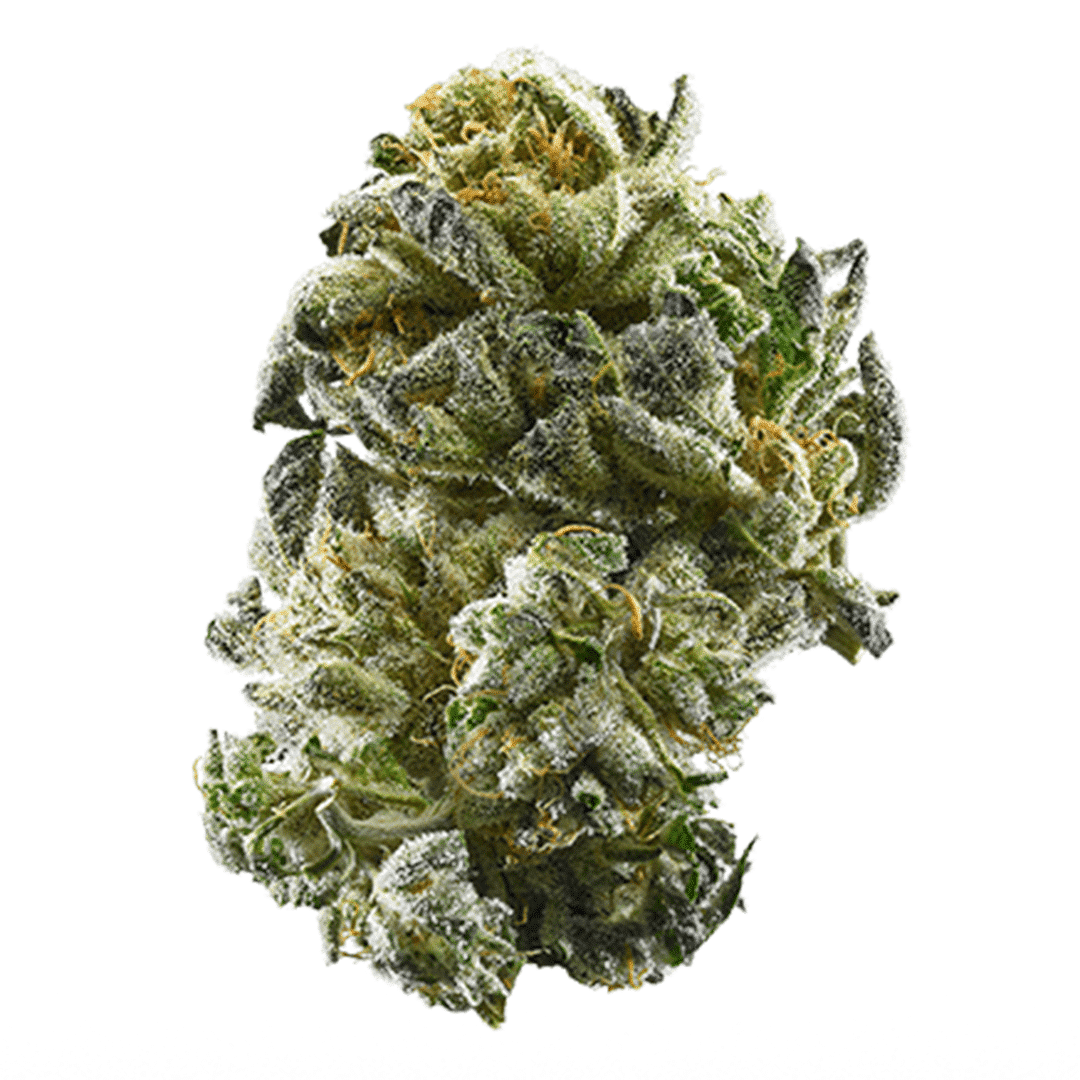 Top 22 Medical Cannabis Strains for Therapeutic Benefits 6 Image