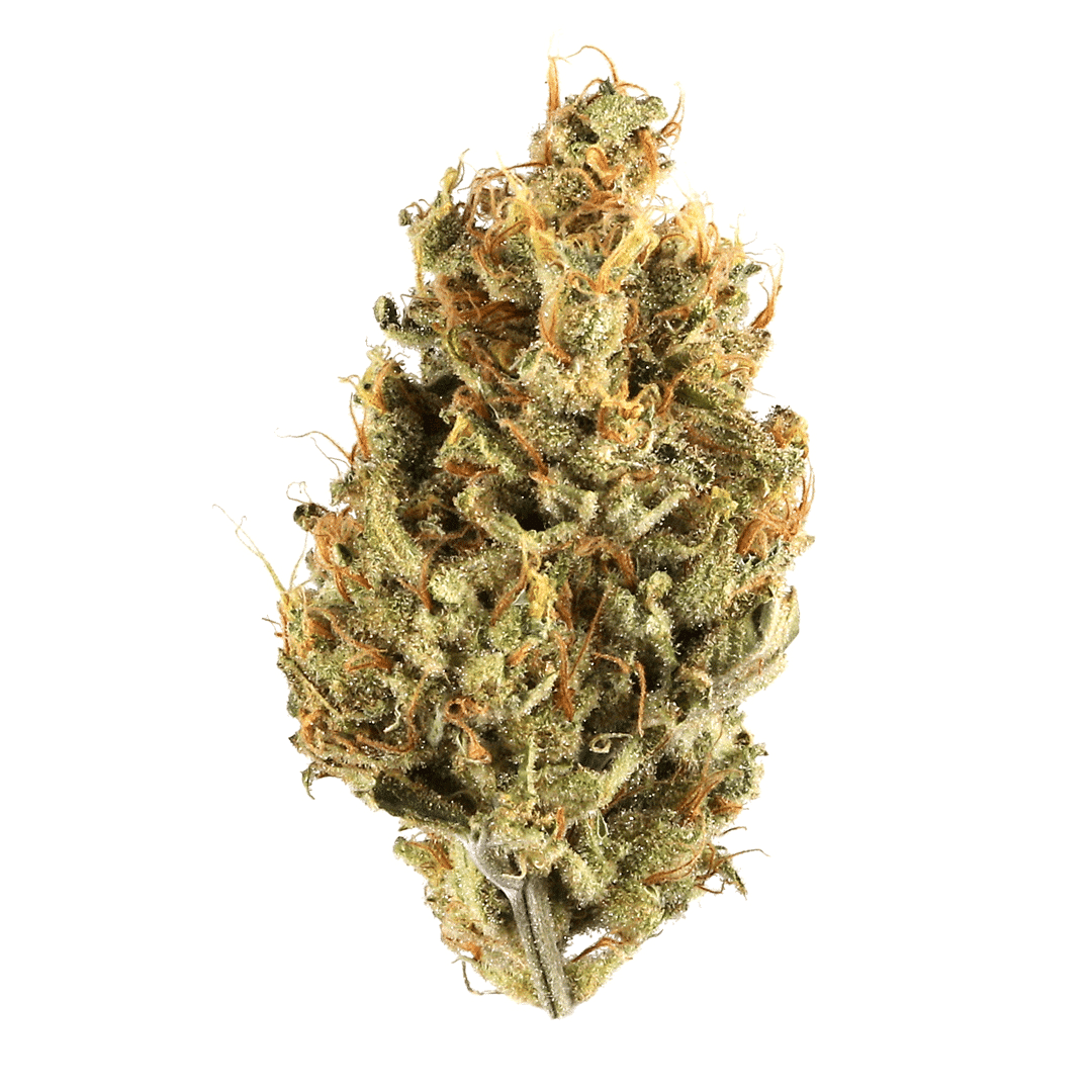 Top 22 Medical Cannabis Strains for Therapeutic Benefits 12 stock photo similar to G13
