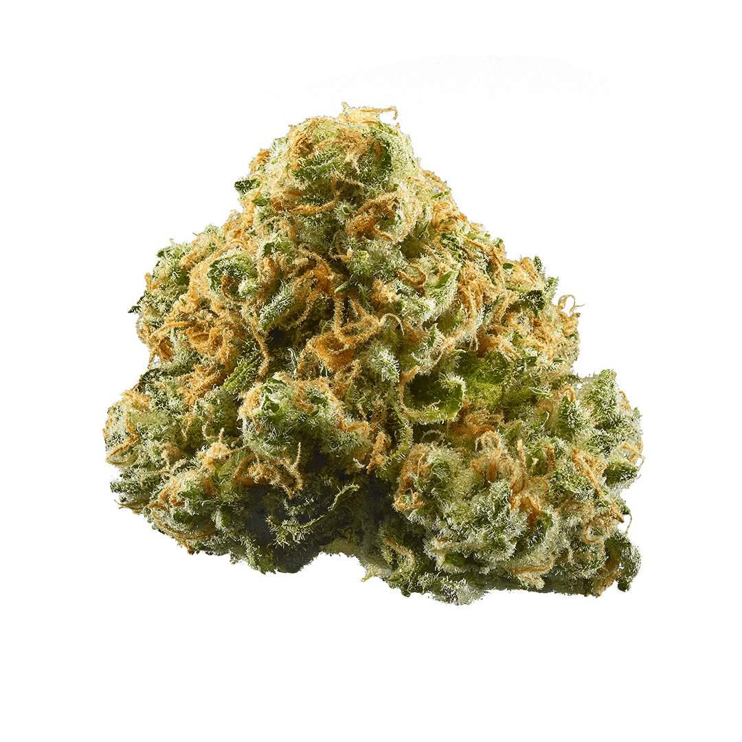 Top 22 Medical Cannabis Strains for Therapeutic Benefits 15 stock photo similar to ACDC