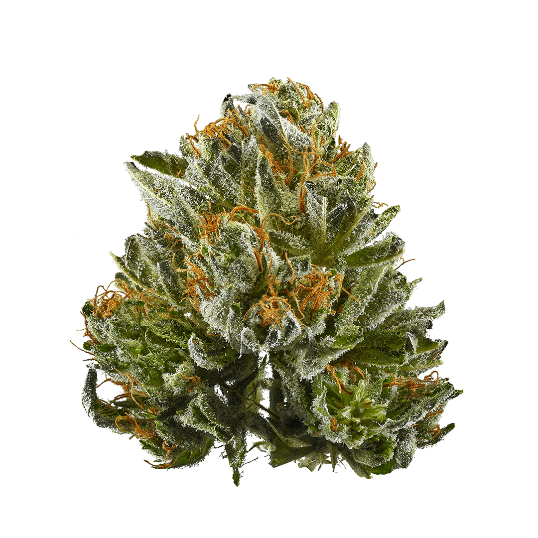 Top 22 Medical Cannabis Strains for Therapeutic Benefits 11 Image